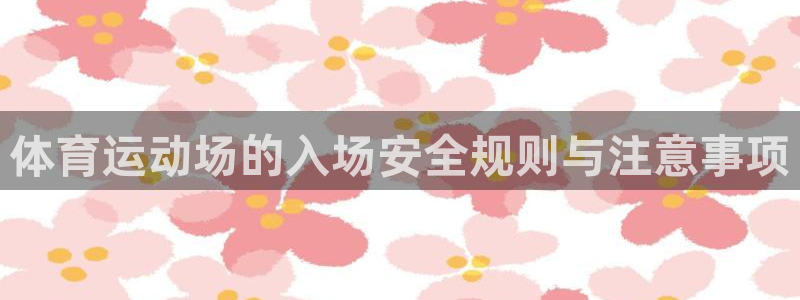 球新体育：体育运动场的入场安全规则与注意事项