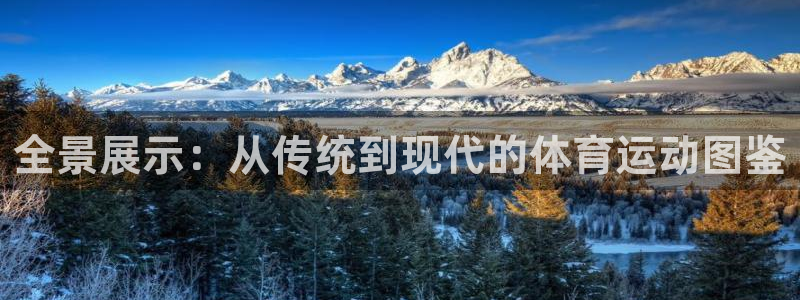 球新体育：全景展示：从传统到现代的体育运动图鉴