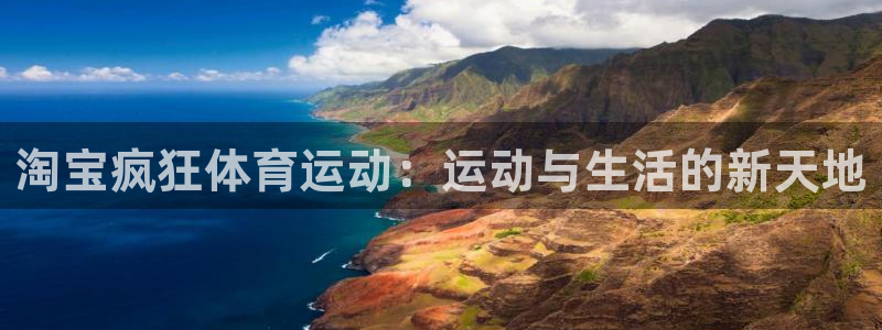 球新体育：淘宝疯狂体育运动：运动与生活的新天地