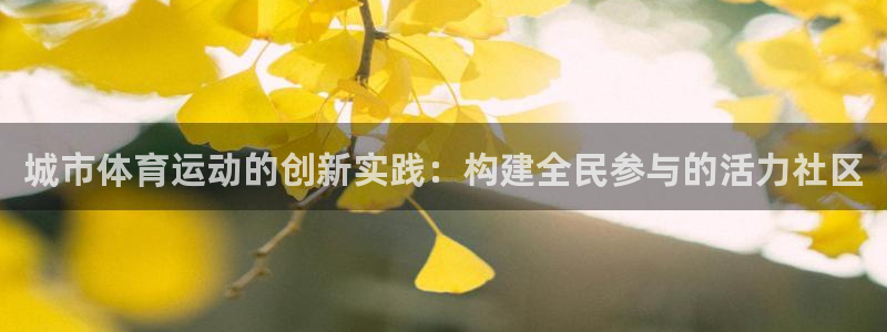 球新体育：城市体育运动的创新实践：构建全民参与的活力社区