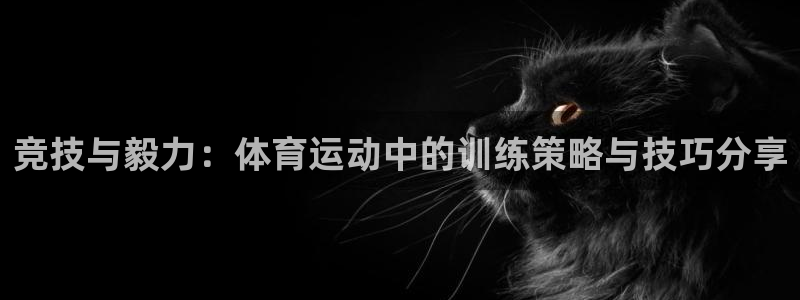球新体育：竞技与毅力：体育运动中的训练策略与技巧分享