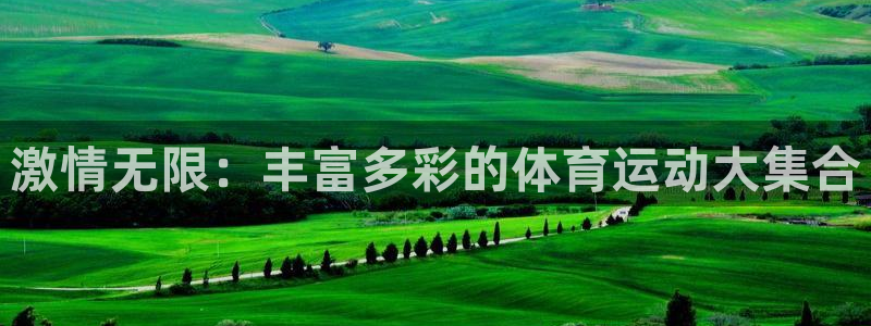 球新体育：激情无限：丰富多彩的体育运动大集合