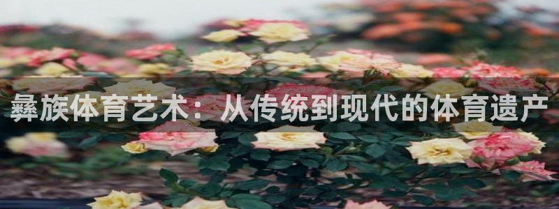 球新体育：彝族体育艺术：从传统到现代的体育遗产