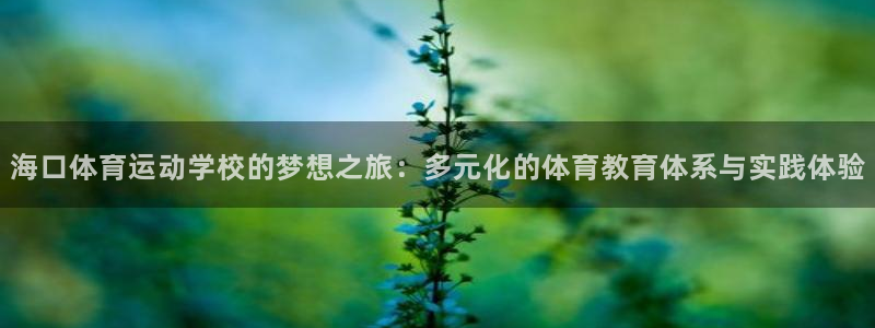 球新体育：海口体育运动学校的梦想之旅：多元化的体育教育体系与实践体验