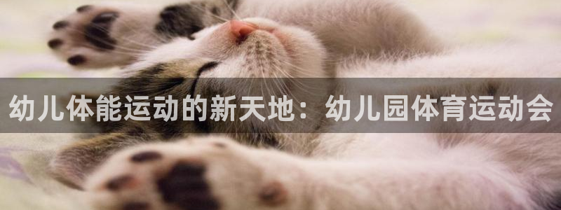 球新体育：幼儿体能运动的新天地：幼儿园体育运动会